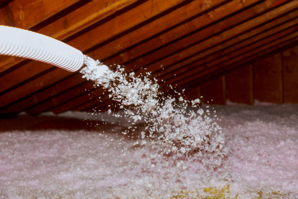 Best Residential Insulation in Beaverton, MI