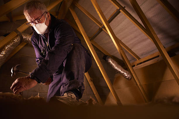 Best Commercial Insulation in Beaverton, MI